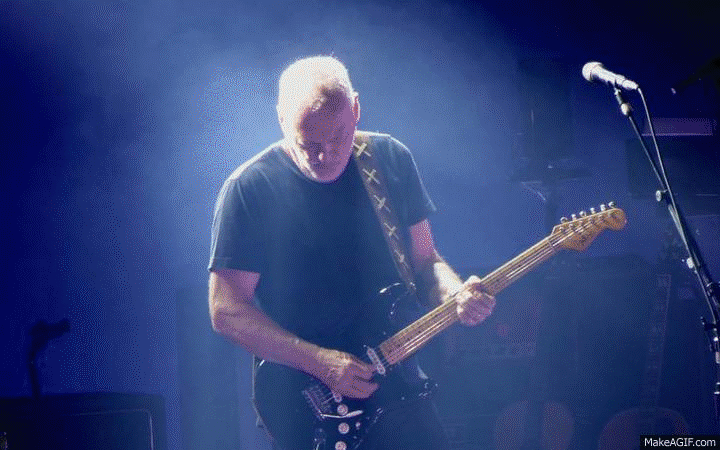 David Gilmour